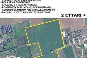 Terreno 2 ettari con fabbricato