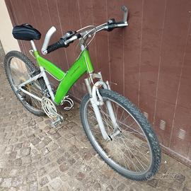 Bicicletta Pininfarina