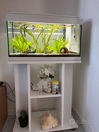 Acquario LT 60