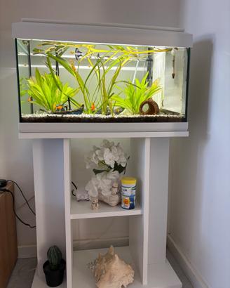 Acquario LT 60