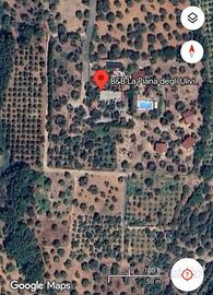 Terreno agricolo 2000mq