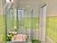 Immagine 13