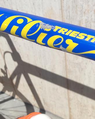 Bicicletta da Corsa Vintage Wilier Triestina