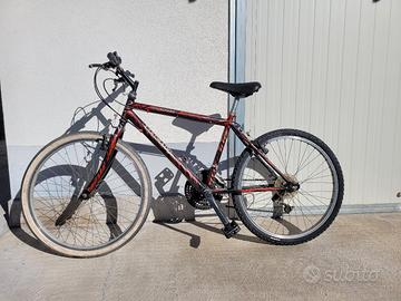 Mountain bike Colorado 24" – funzionante – cambio 