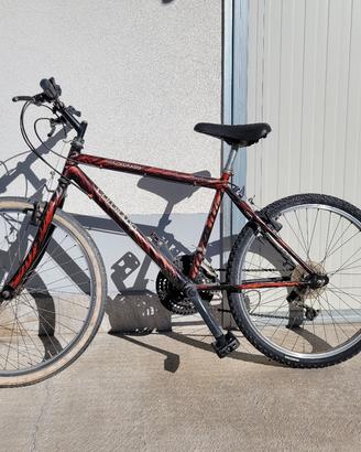 Mountain bike Colorado 24" – funzionante – cambio 