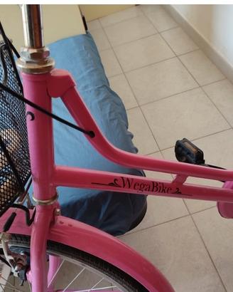 Bicicletta raggio 24