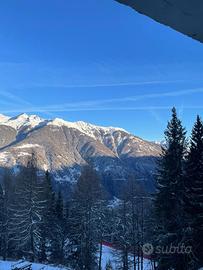 Affitti brevi Marilleva 1400 Trentino Dolomiti