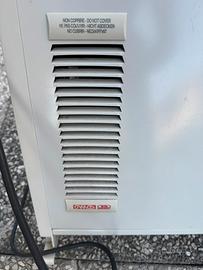 Termosifone elettrico