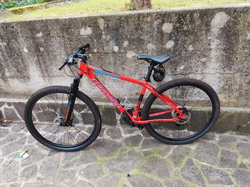 bicicletta torpado
