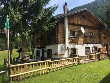 Chalet montagna Val Visdende