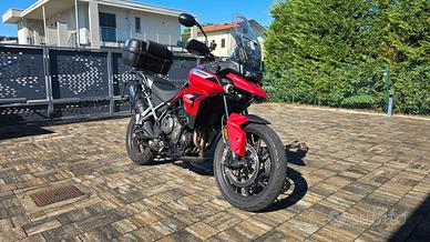 Triumph Tiger 900 GT Pro