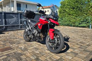 Triumph Tiger 900 GT Pro