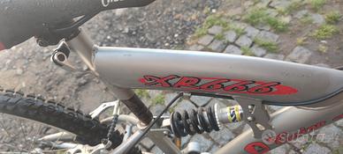 bicicletta 