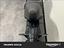 Immagine 13