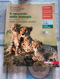 Libro