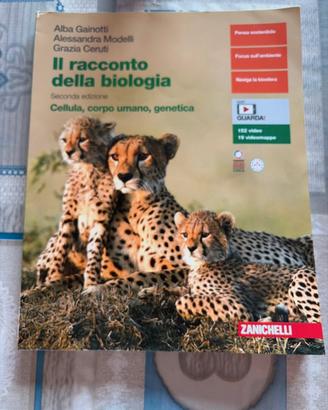 Libro
