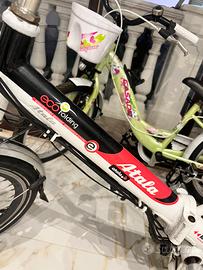 Bici elettrica