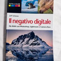 Il negativo digitale – Jeff Schewe RAW Lightroom