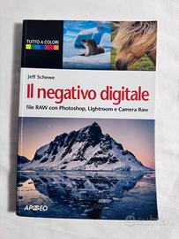 Il negativo digitale – Jeff Schewe RAW Lightroom