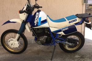 Suzuki dr 600 Djebel