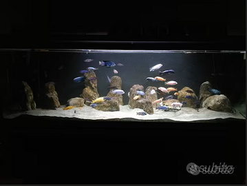 Set rocce artificiali per acquario.