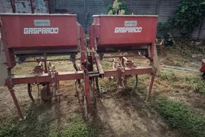 sarchiatore Gaspardo 