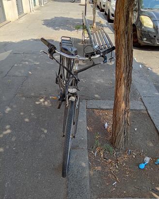 bicicletta elettrica
