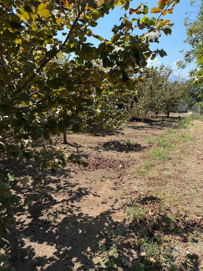 Terreno agricolo - Vista 2