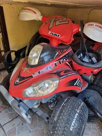quad feber 12v