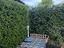 Immagine 19