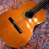 1980 Chitarra Classica M G Contreras Spagnola