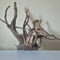 Accessori per acquario 