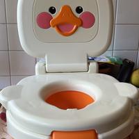 Vasetto Fisher Price