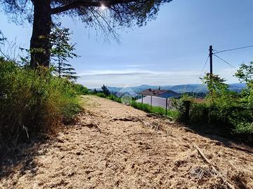 TER. RESIDENZIALE A SOGLIANO AL RUBICONE