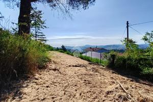 TER. RESIDENZIALE A SOGLIANO AL RUBICONE
