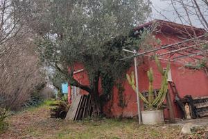 Terreno con fabbricato