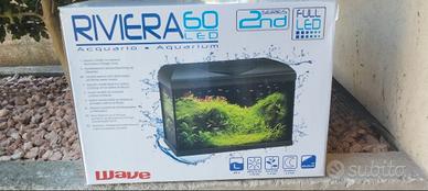 acquario da esposizione per pesci 