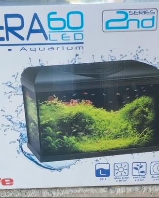 acquario da esposizione per pesci 