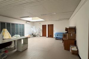 Ampio ufficio luminoso