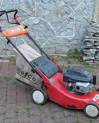Tagliaerba Efco a scoppio