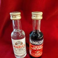 mini collezione liquori