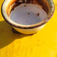Vaso da notte ,pezzo da museo anni 60