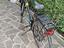 Immagine 3