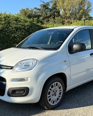 FIAT Panda 1.2 Easy NEOPATENTATI - CLIMA - RADIO