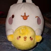 Peluches per bambini e non 
