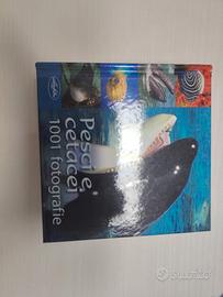 pesci e cetacei 1001 fotografie