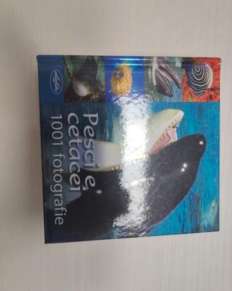 pesci e cetacei 1001 fotografie