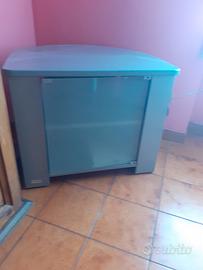 Mobile TV