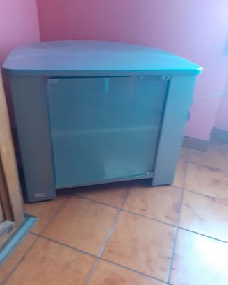 Mobile TV