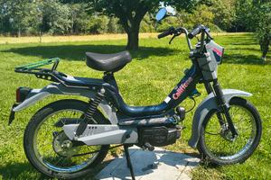 Califfone Rizzato oconservatissimo